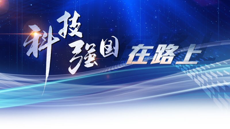 Nginx反向代理与API网关：核心功能与区别解析